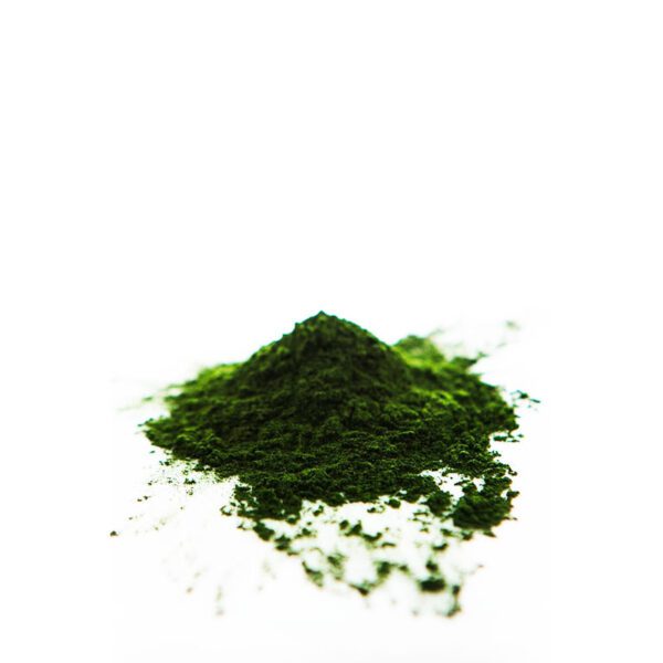 Chlorella en polvo - Imagen 3