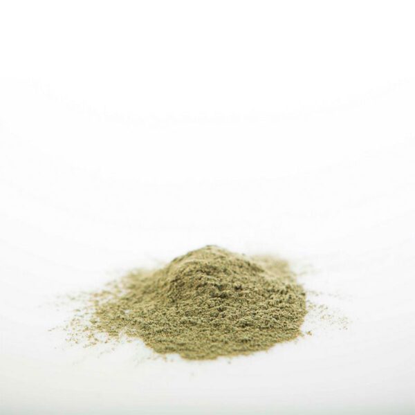 Green Adaptogen - Imagen 3