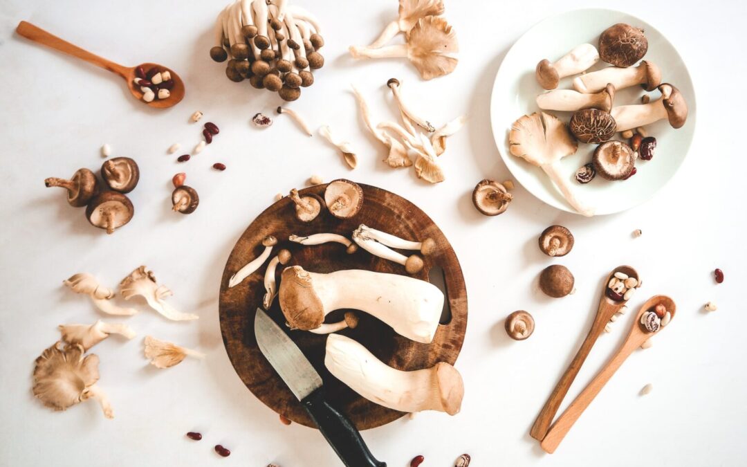 QUÉ HAY EN LAS SETAS QUE FAVORECE EL ENVEJECIMIENTO SALUDABLE